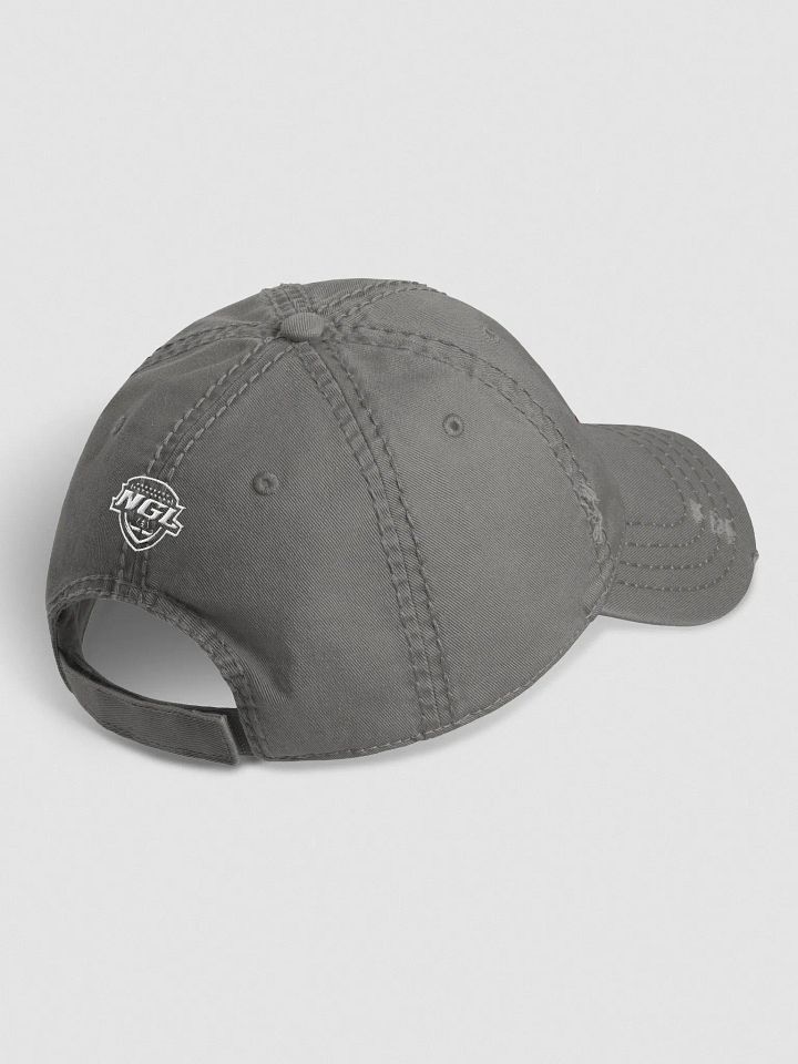 Cleveland Gladiators Distressed Dad Hat product image (2)