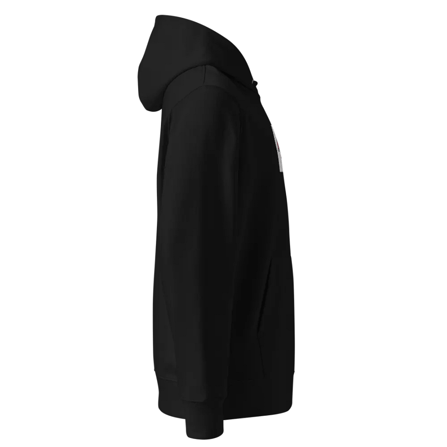 Kid Airplane (Stanley/Stella Unisex Organic Hoodie) product image (9)