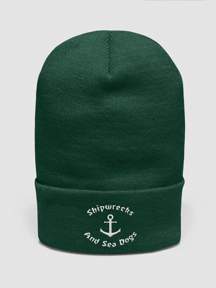 Cuffed Logo Beanie product image (1)