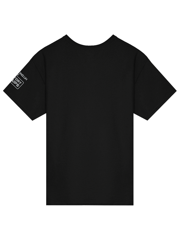 42Racing x Factory Setups Tee product image (2)