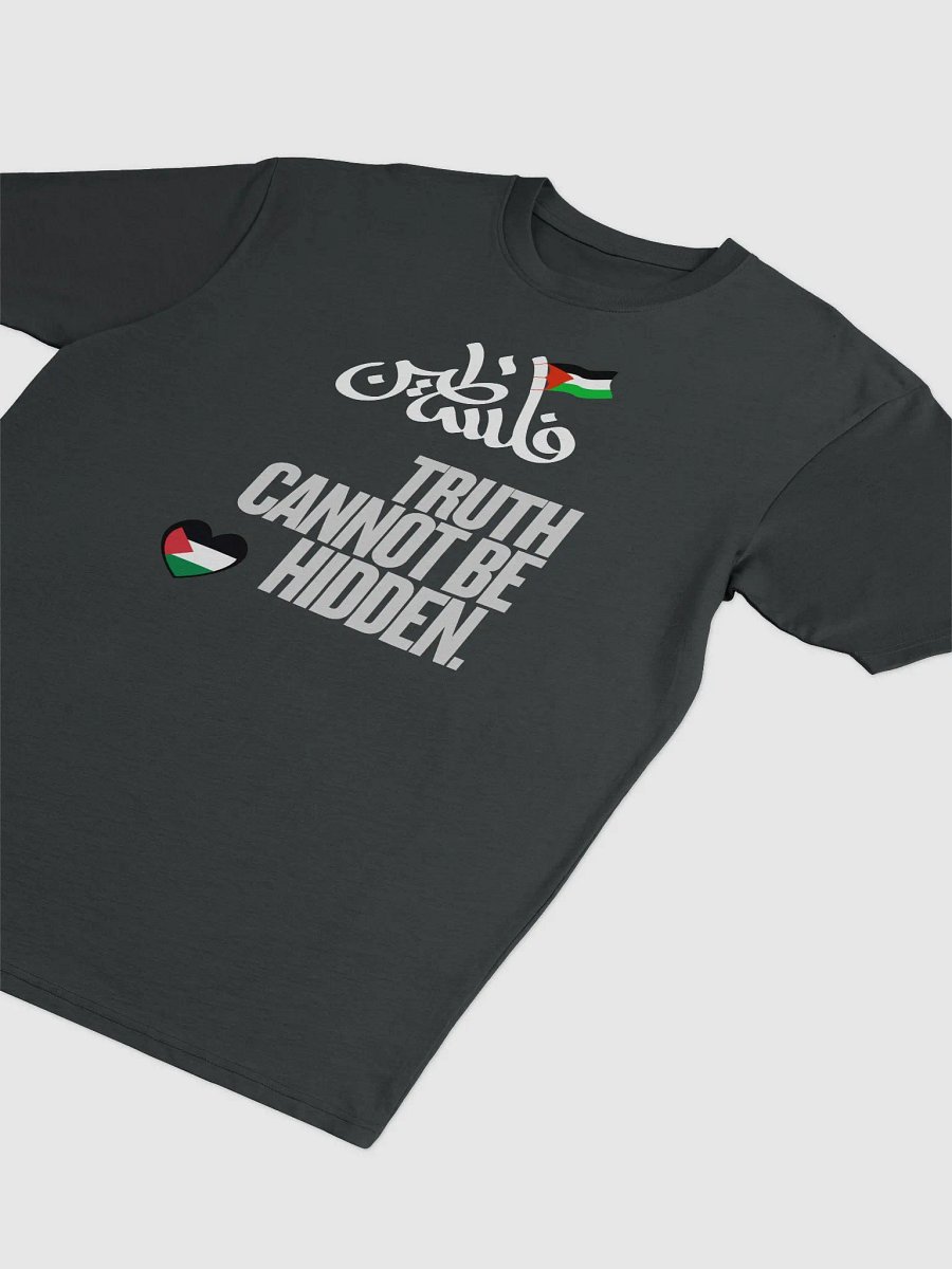 Palestinian Flag Fist Graphic Tee | Truth cannot be hidden. product image (9)