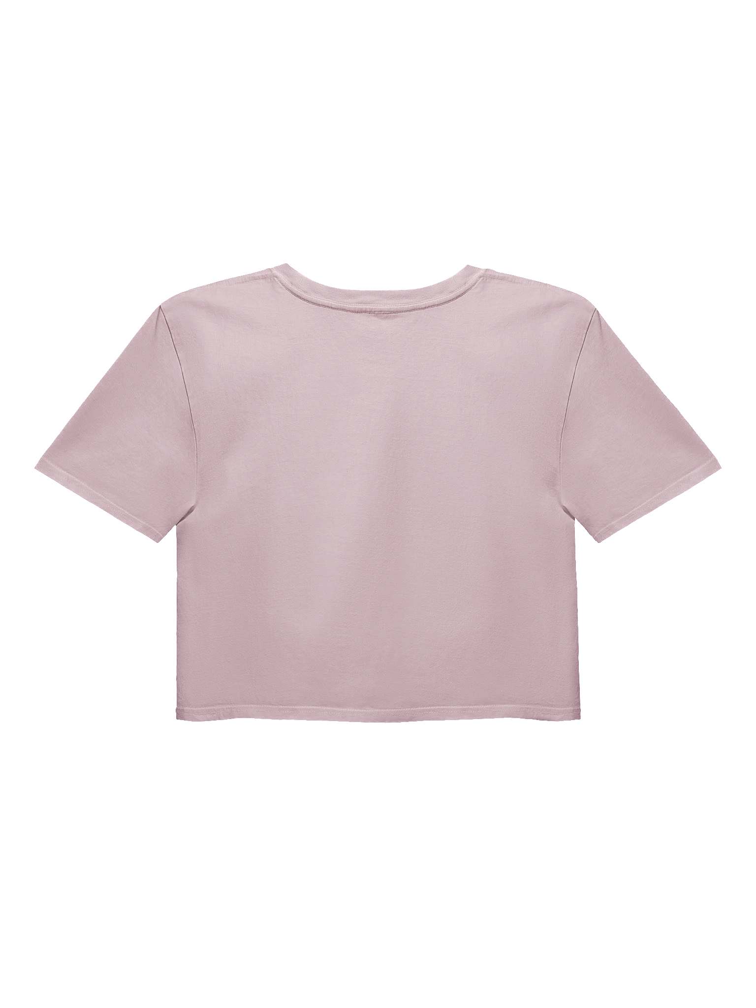 Everyday I Get Emails Spud Crop Top product image (42)