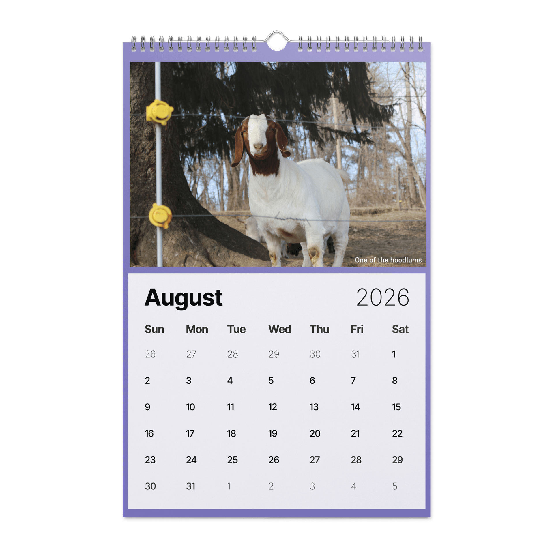 Muddy Toes Farm 2026 Country Life Calendar product image (2)