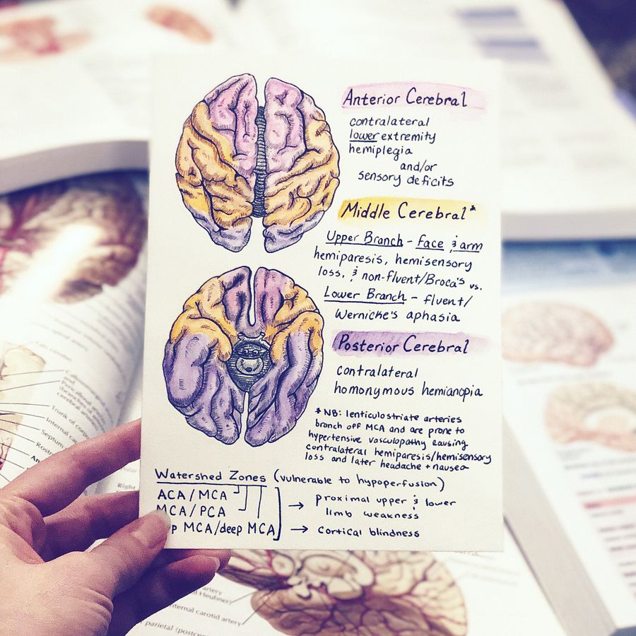 [Original] Stroke by Location product image (2)