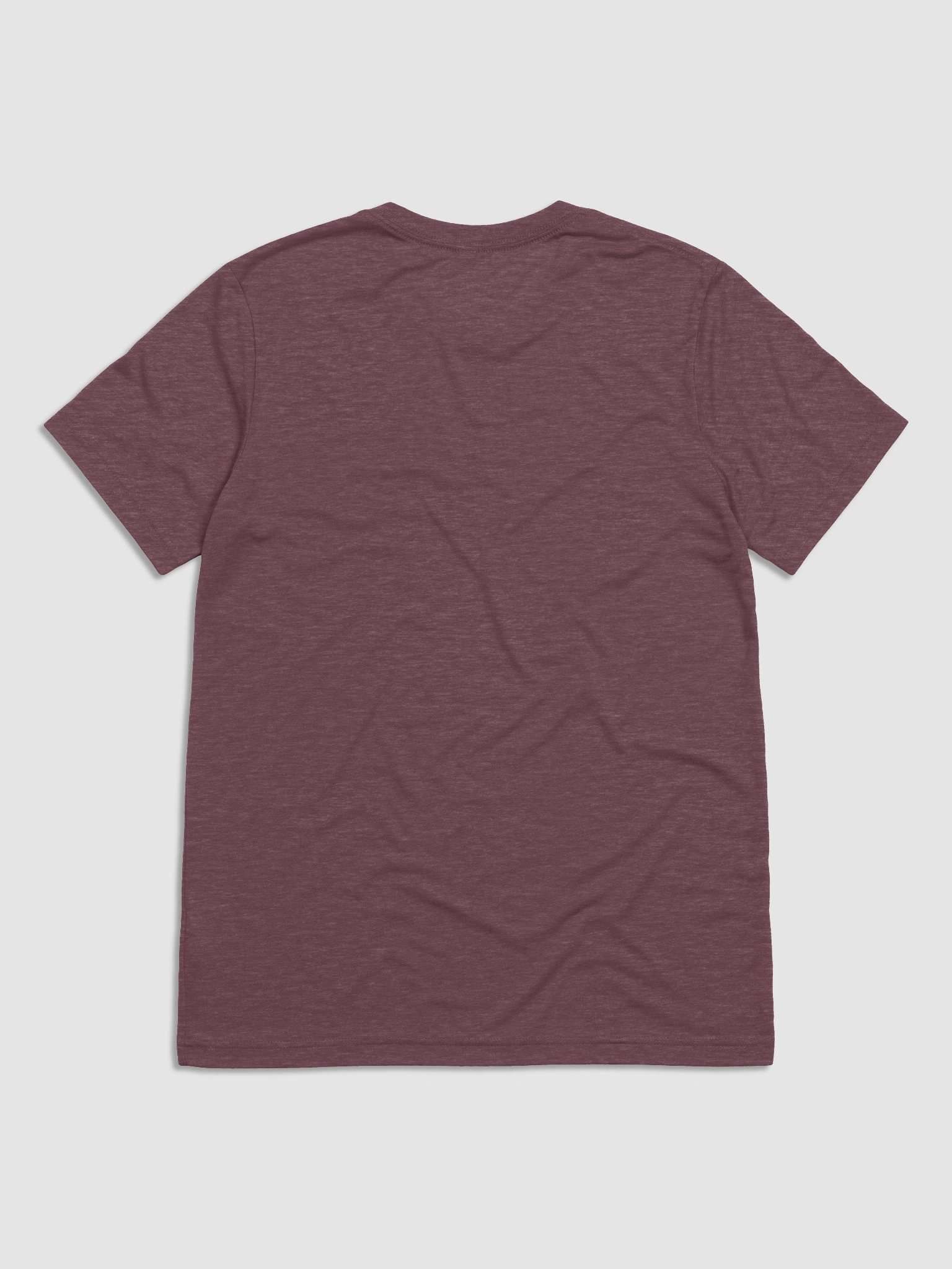 UFO Ultraconservative Family Oriented Tee product image (2)