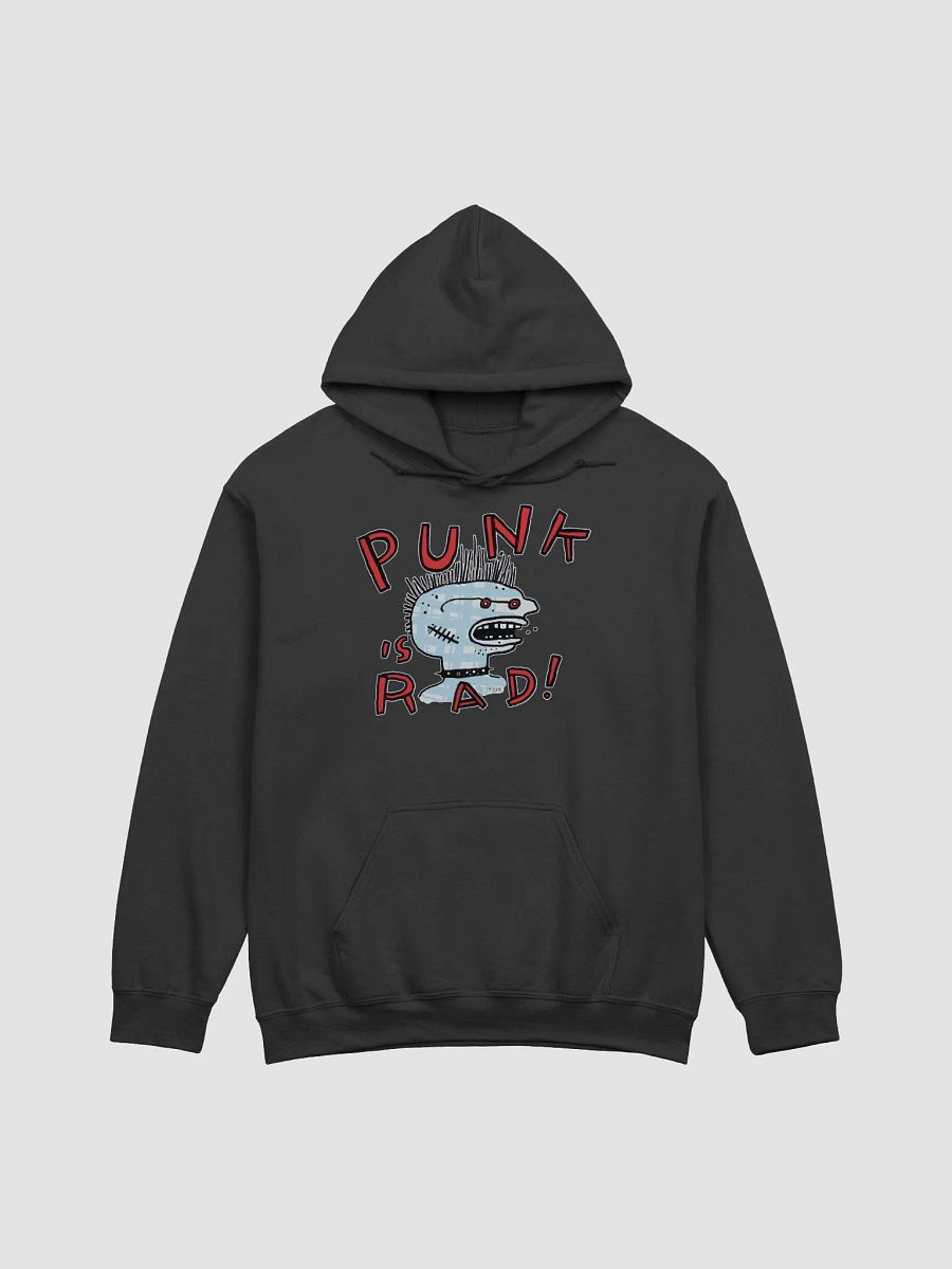 Punk, So Rad Hoodie product image (3)