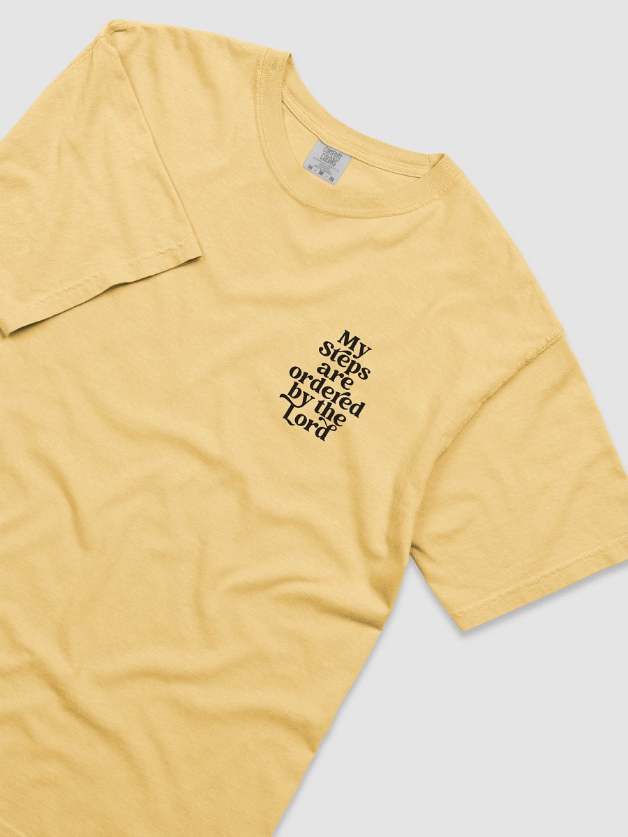 My Steps Are Ordered by the Lord Heavyweight Tee product image (5)