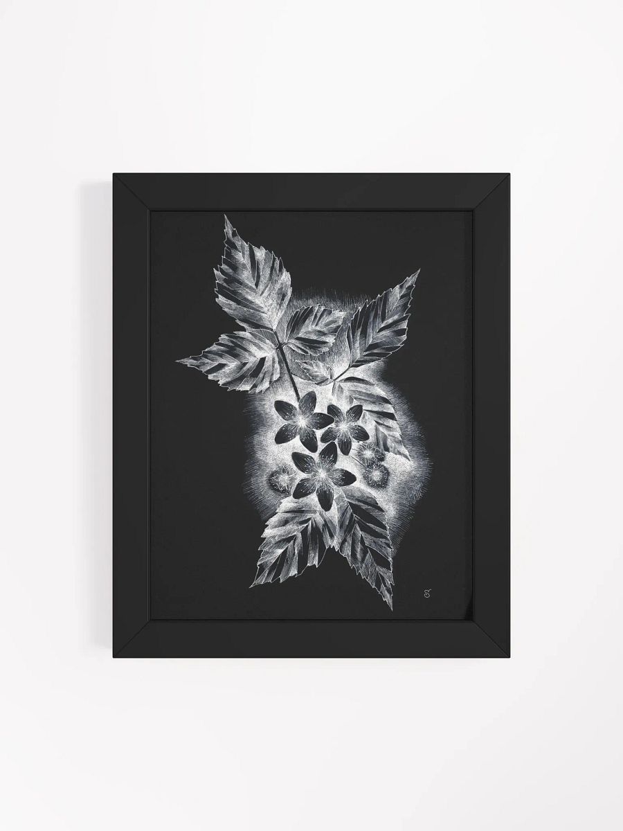 Monochrome Nature Beauty Framed Poster - Dark Jasmine product image (24)