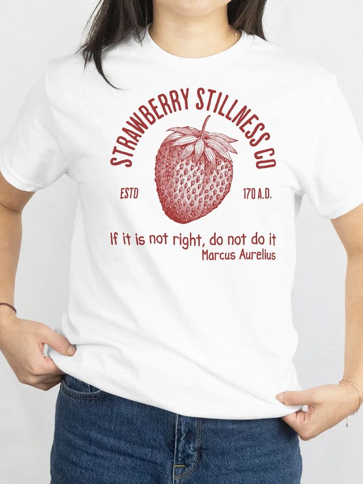 STOIC STRAWBERRY TSHIRT product image (2)