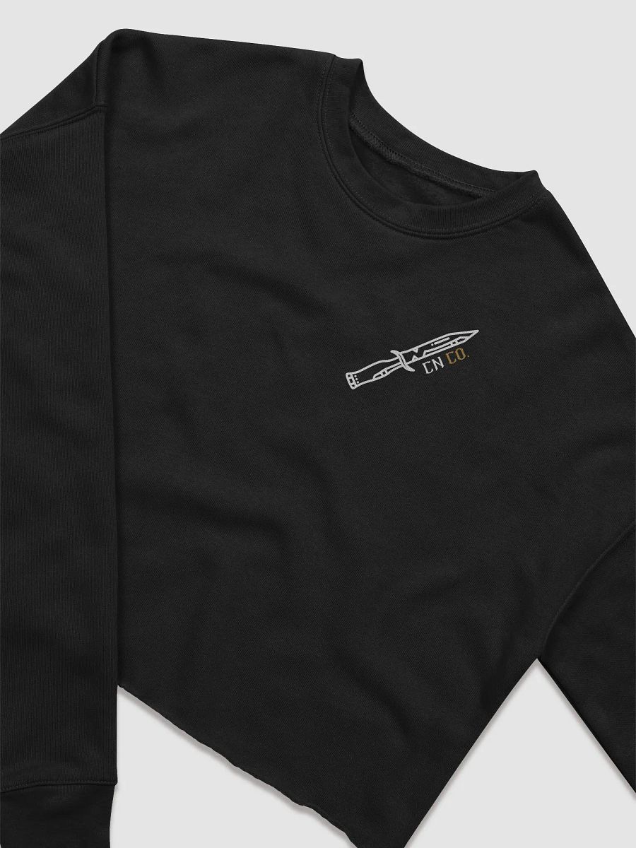 GOLD | Chaotic Neutral Sweatshirt {Colorblock} product image (2)