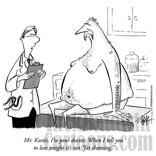 Fat Shaming product image (1)