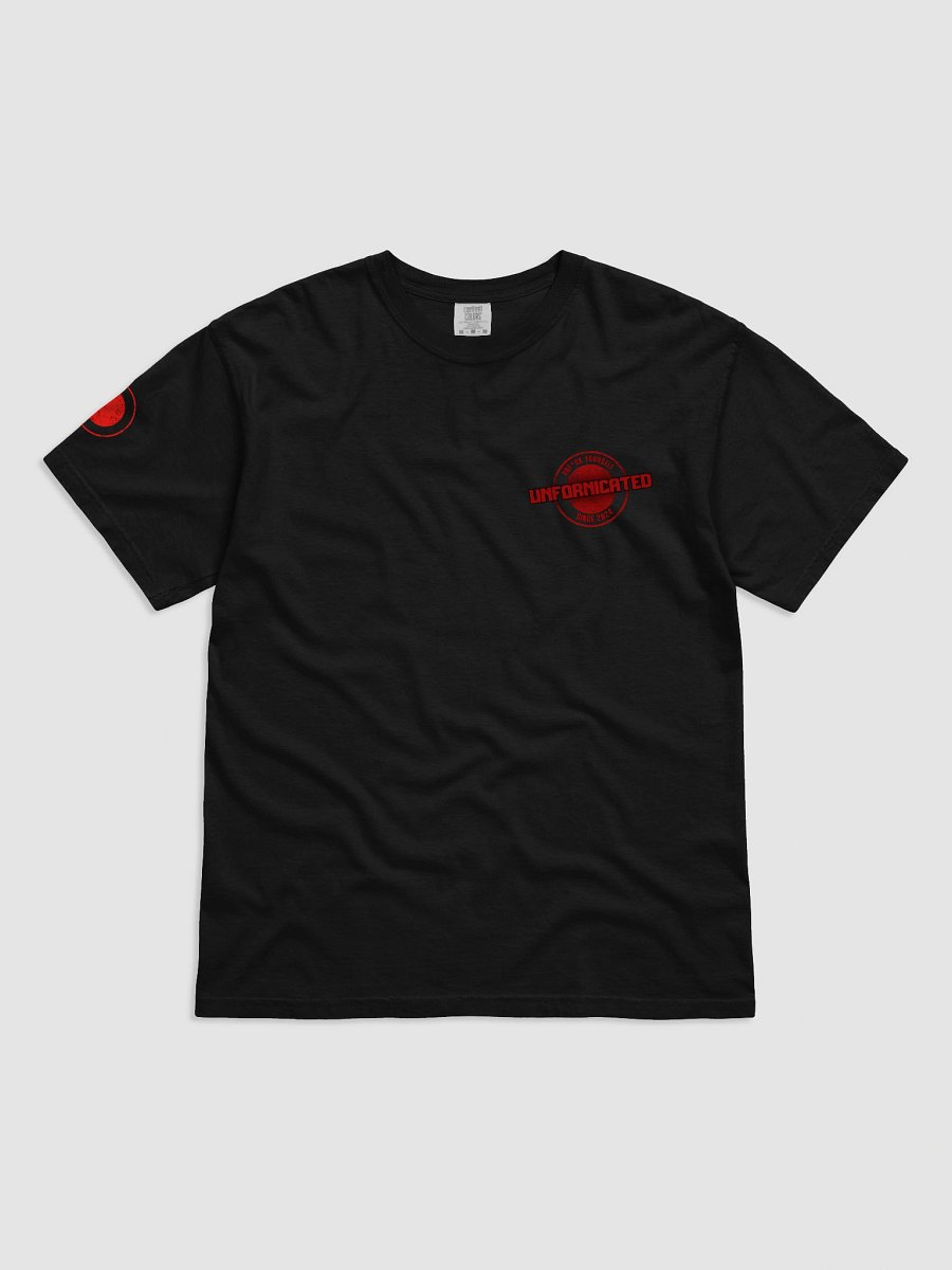 The Unfornicated Files: DECLASSIFIED Relaxed Tee product image (2)