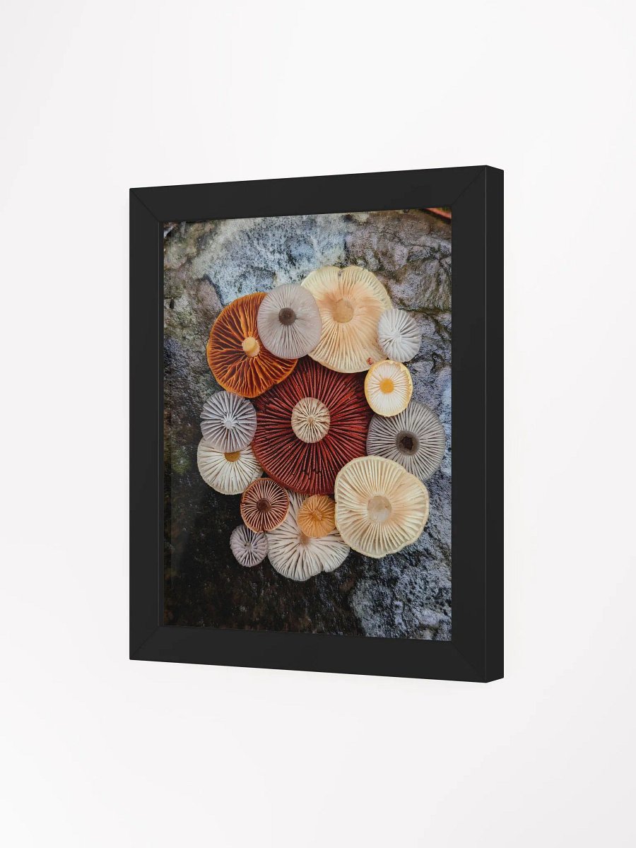 Fungal Color Palette (Frame) product image (3)
