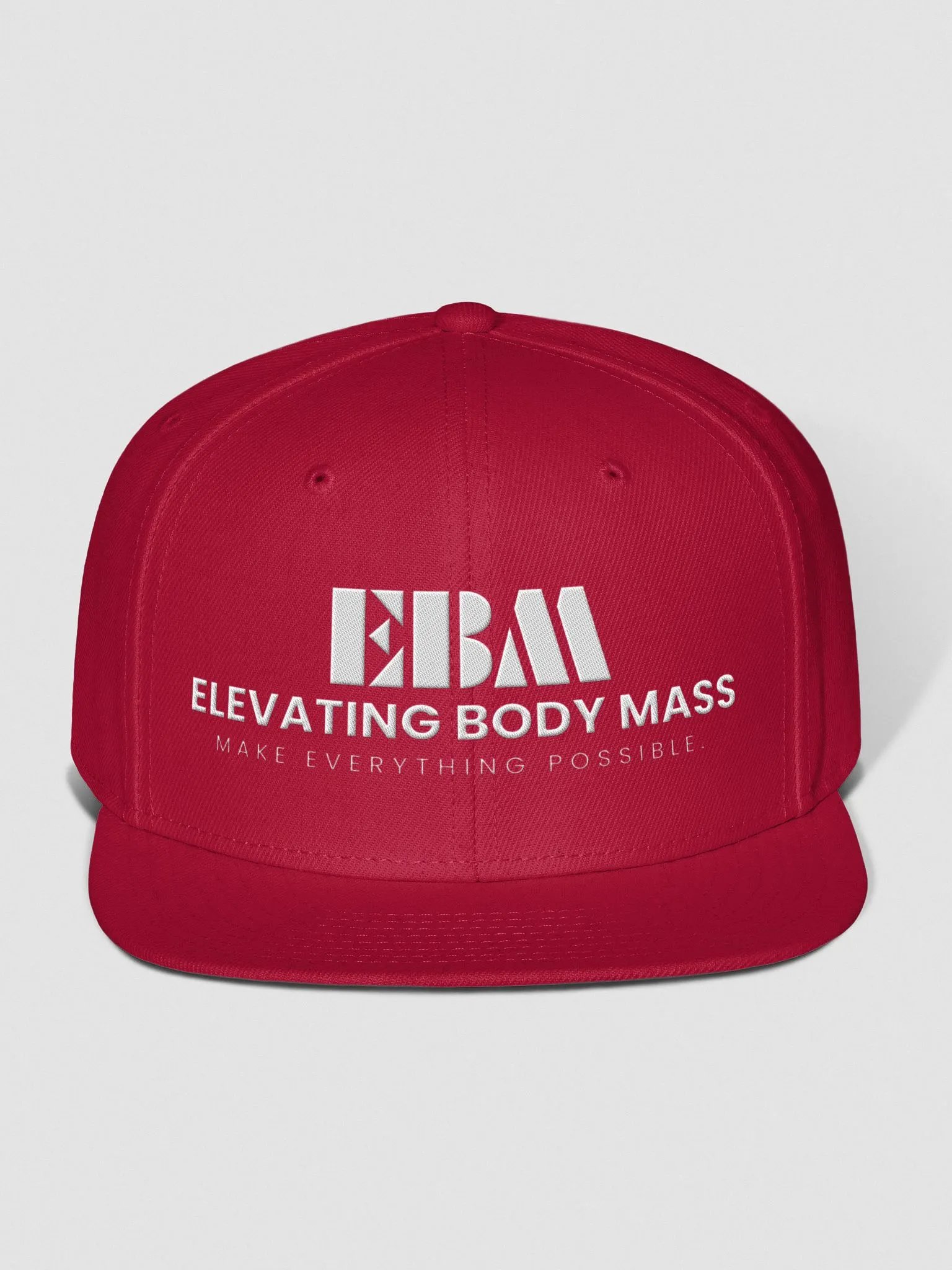 EBM Snap Back Cap (White Logo) product image (1)
