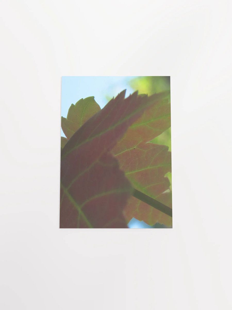 Leaf Close Up product image (47)