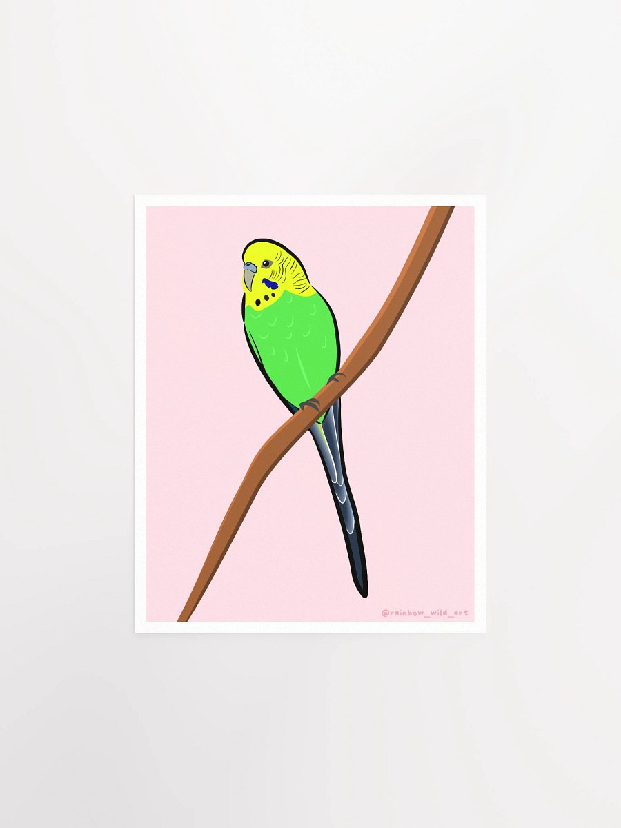 Budgie Print product image (1)