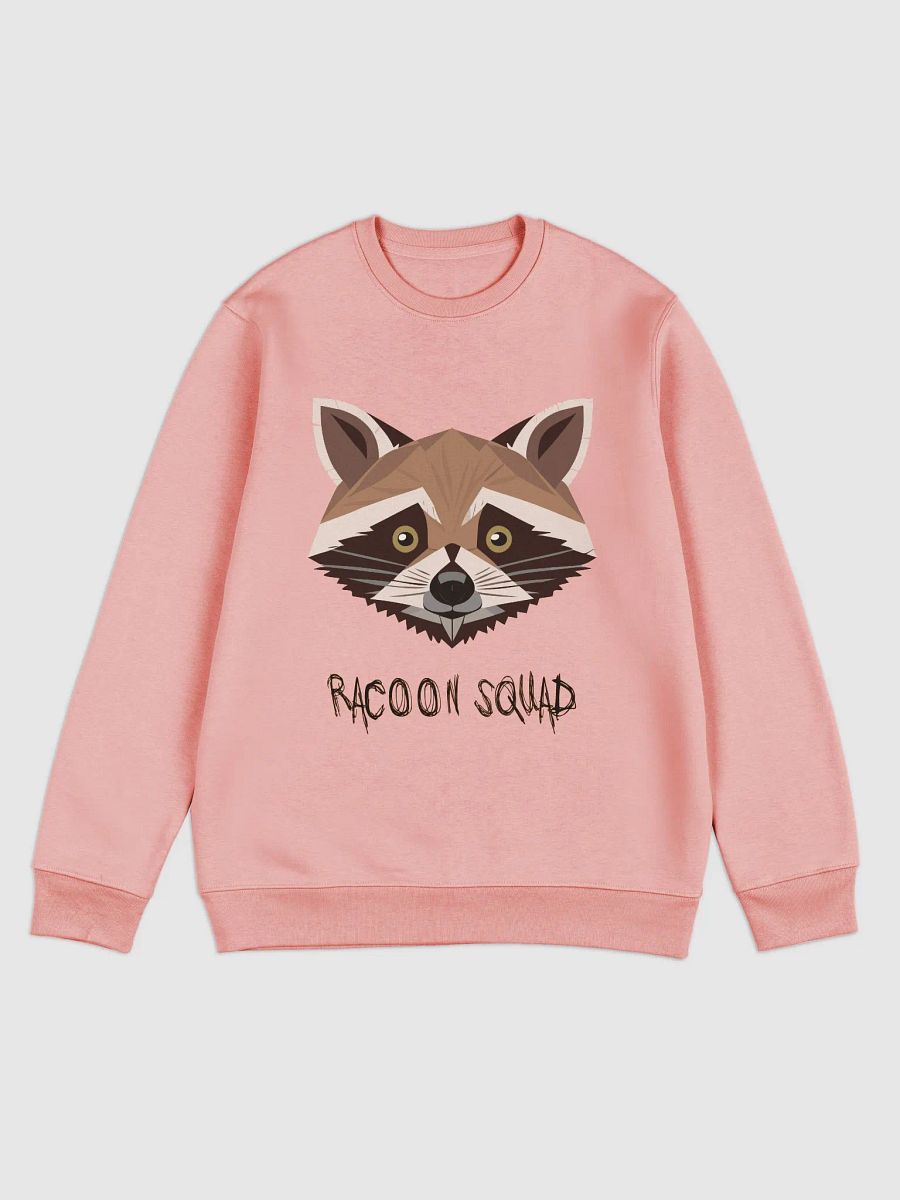 Raccoon Squad - The Sweater product image (1)