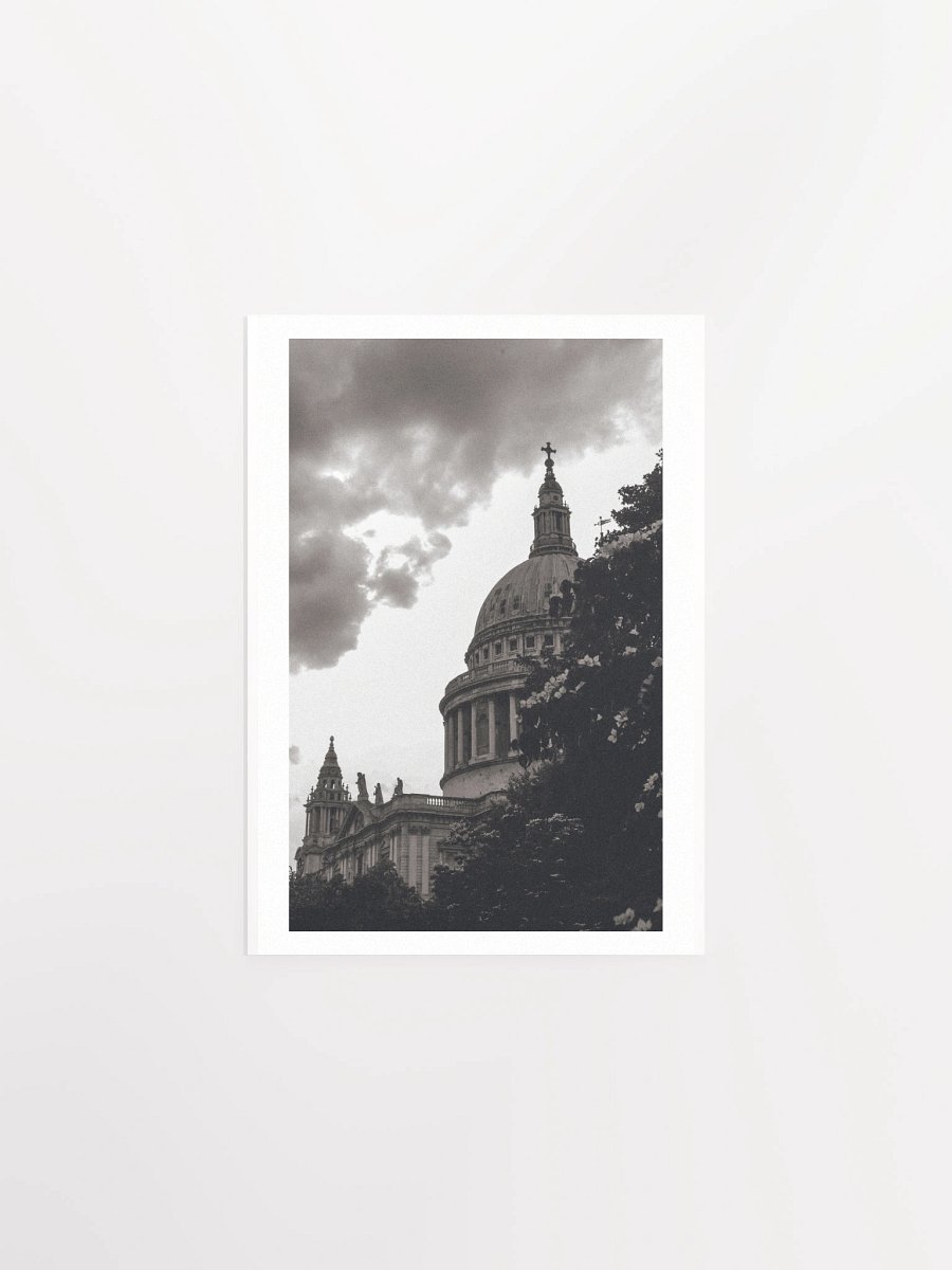 Flowers of St. Paul - Black & White / Print product image (3)
