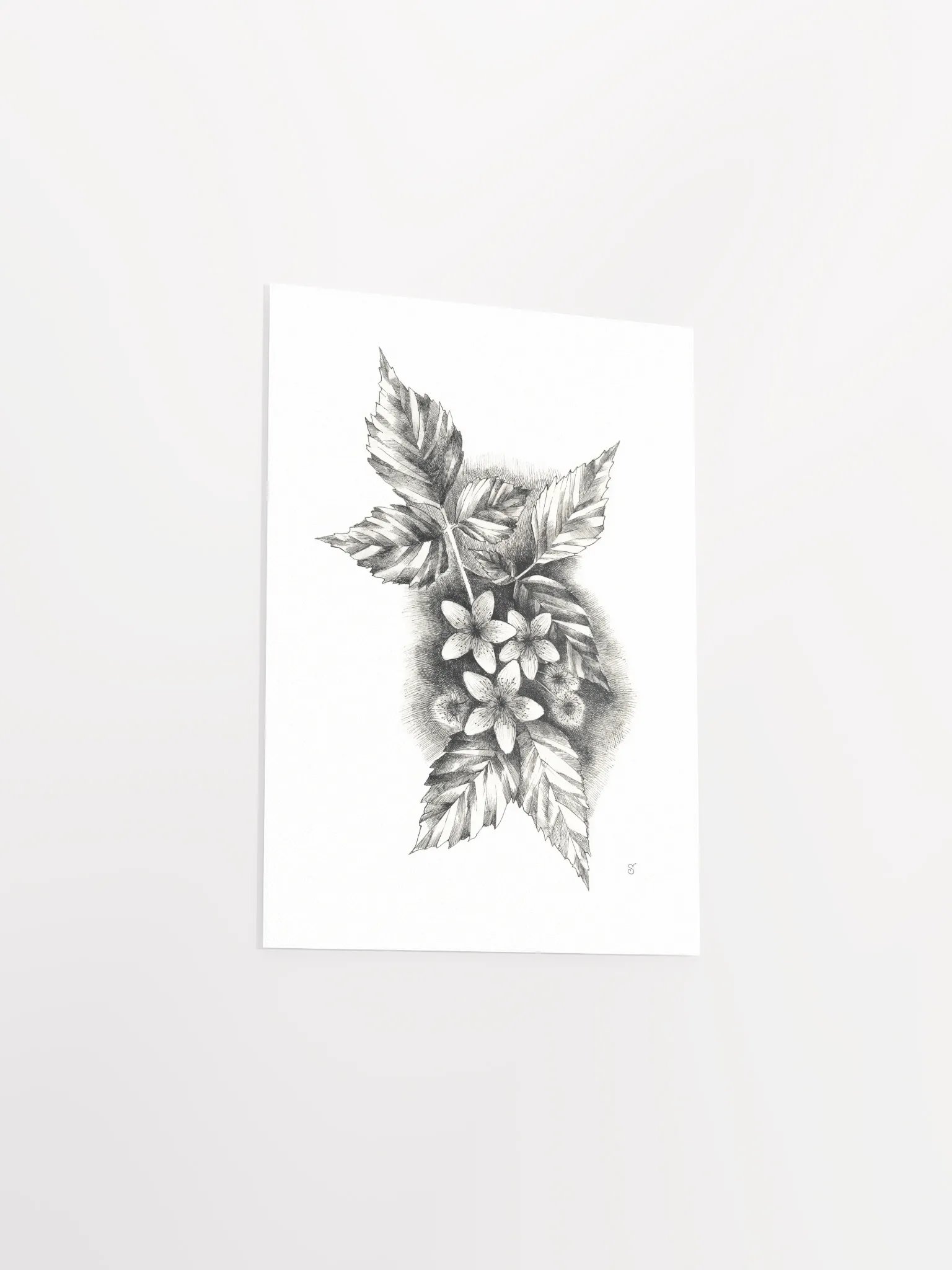 Botanical Bliss Matte Poster - Jasmine product image (3)