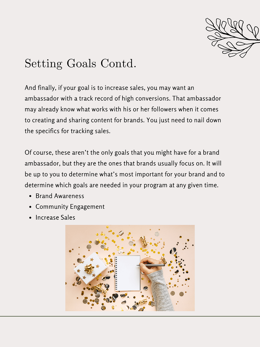 Create a Brand Ambassador Program in 2025: E-book product image (5)