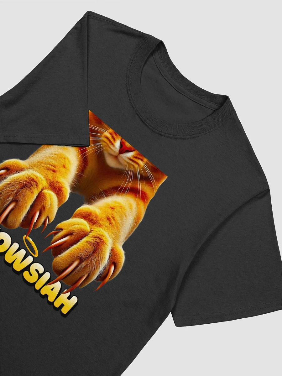 The Meowsiah product image (11)
