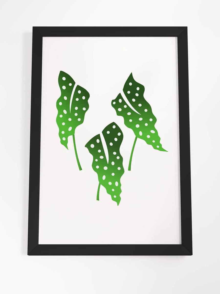 Polka Dotb Begonia Leaves product image (7)