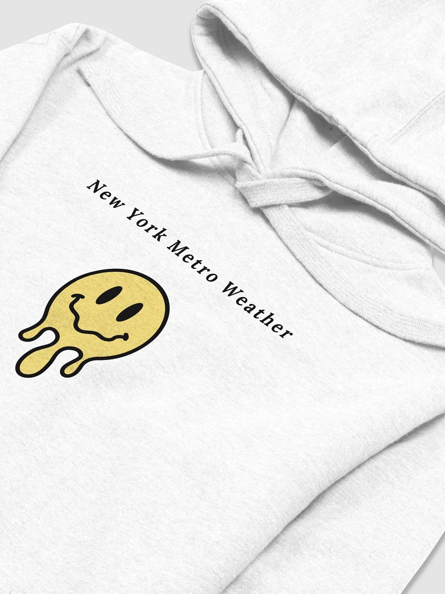 NYMW Seasons Hoodie product image (3)