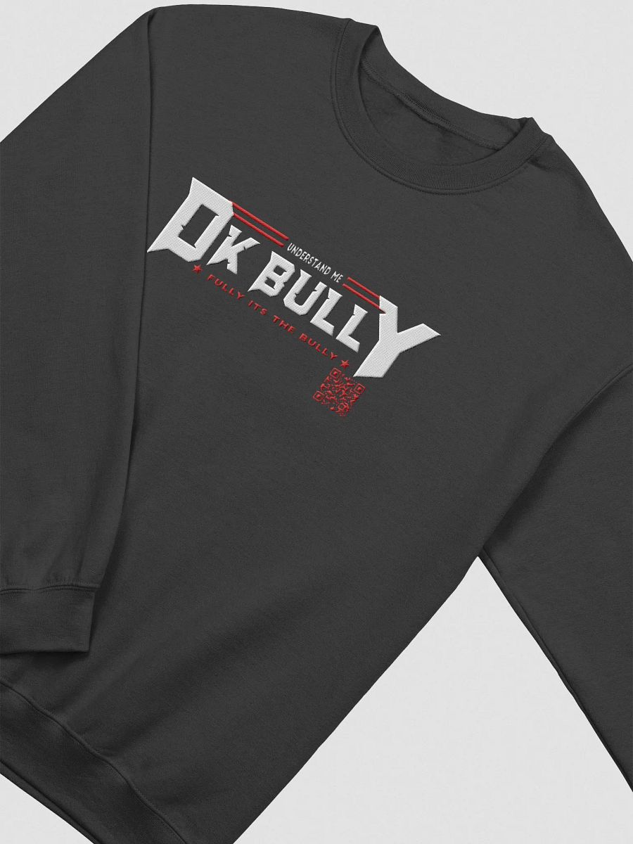 UNDERSTAND FULLY (SWEATER) LD product image (3)
