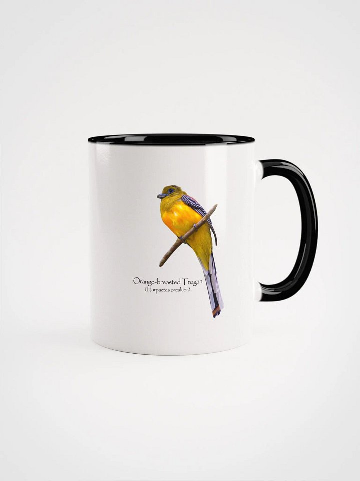 Orange-breasted Trogan mug product image (5)