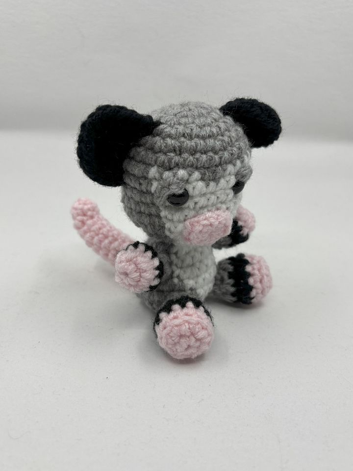 Curious Trash Cat product image (1)