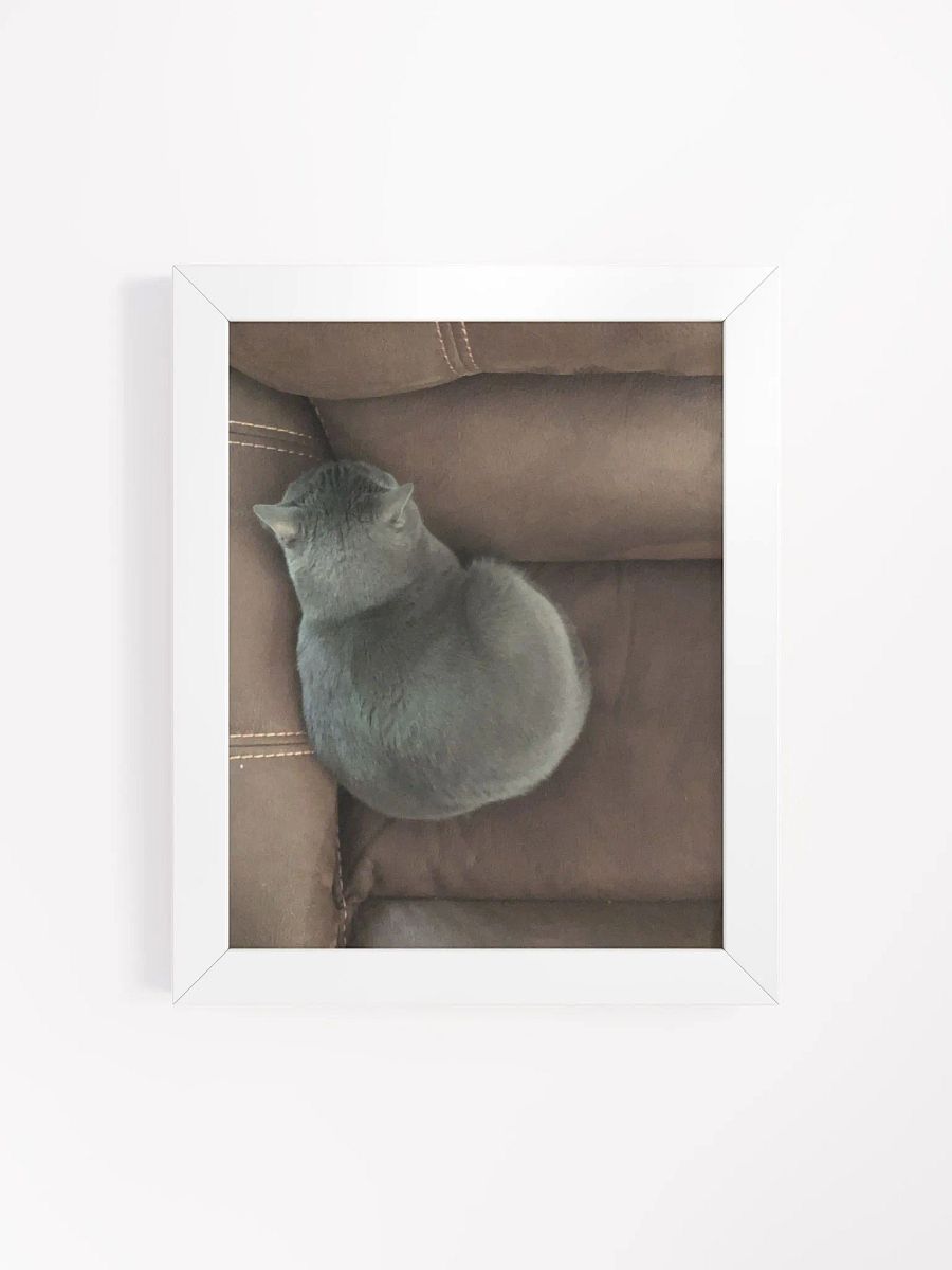 Sansa Kitty Couch Corner High Quality Matte Poster product image (4)