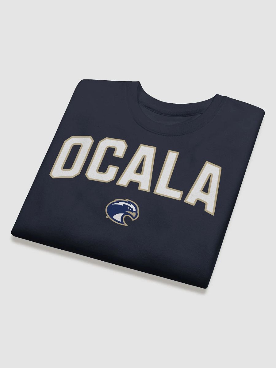 Ocala Eagle Emblem Sweatshirt product image (4)