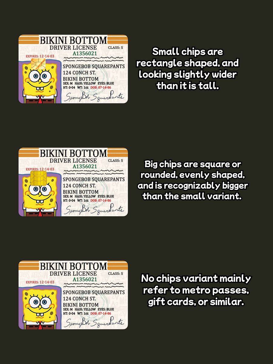 Bikini Bottom Driver License (Holographic) product image (3)