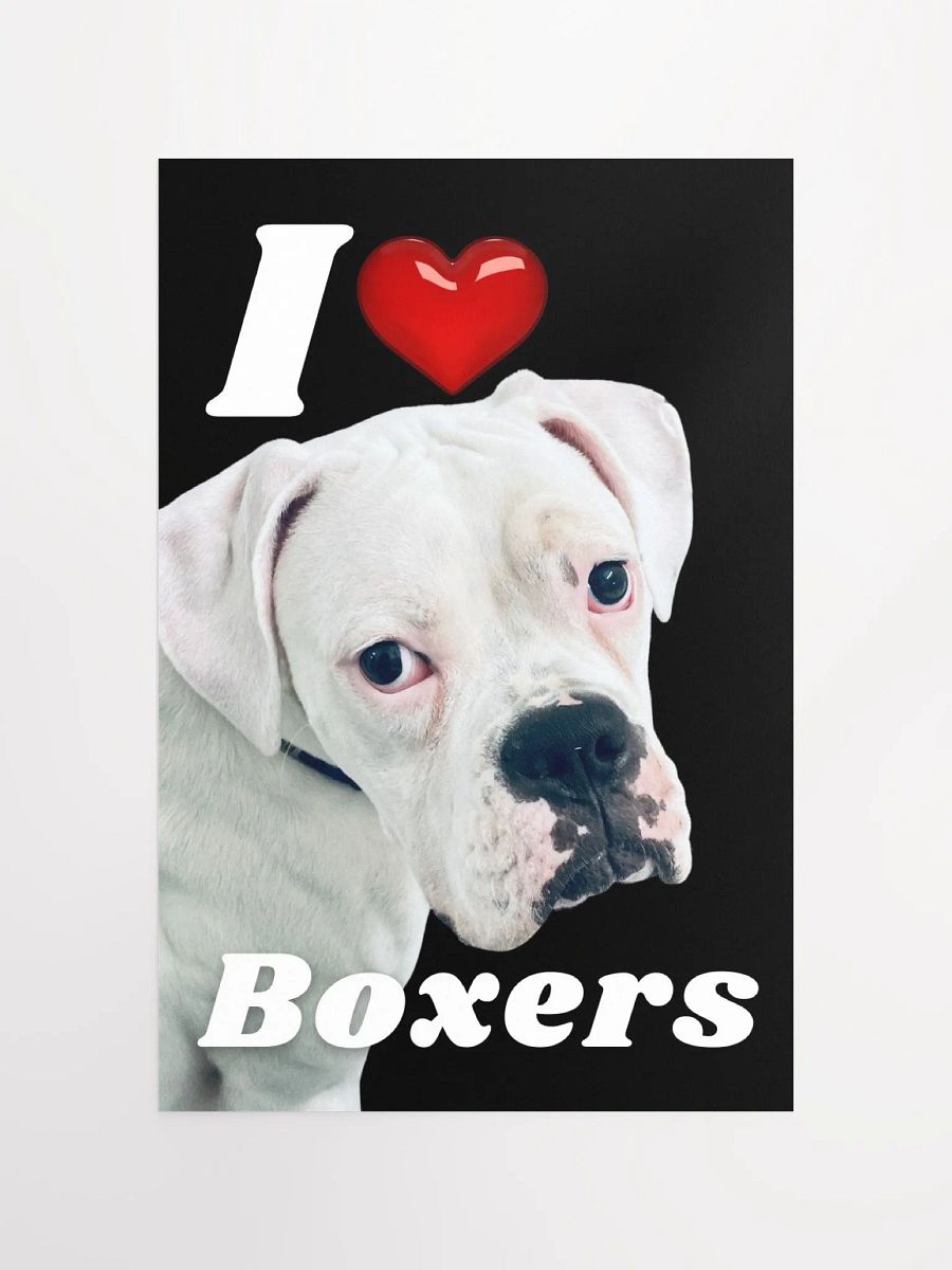 I Heart Boxers Poster product image (4)