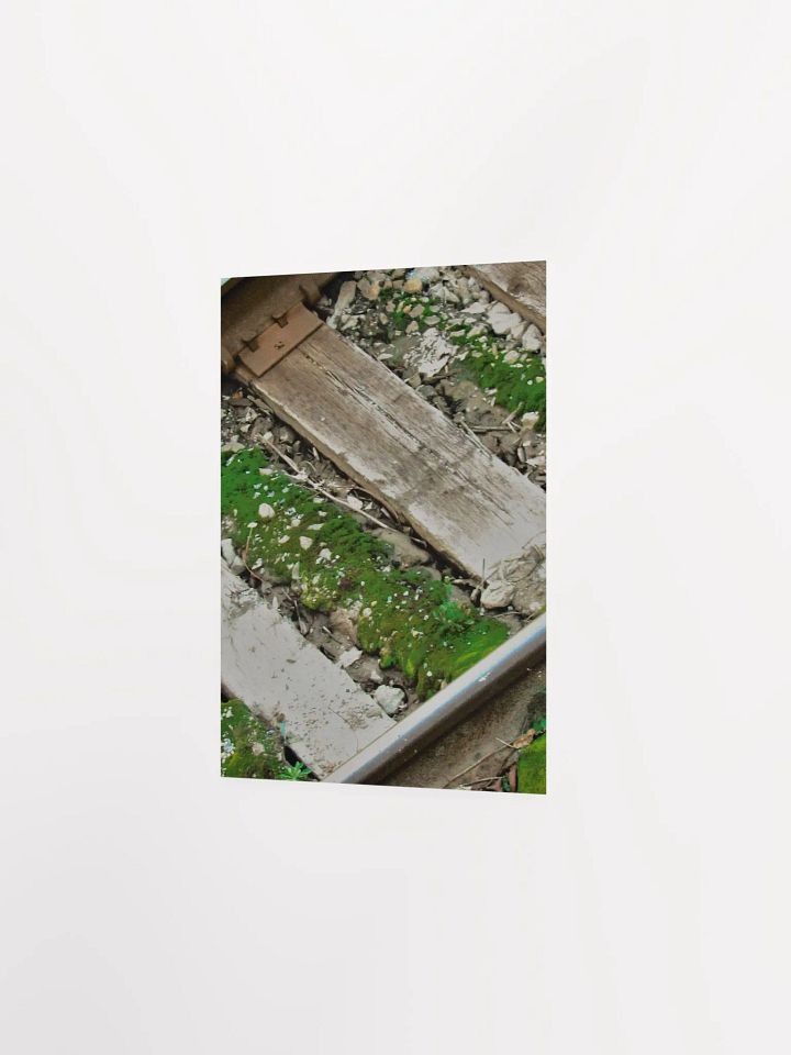 Mossy Railroad product image (22)