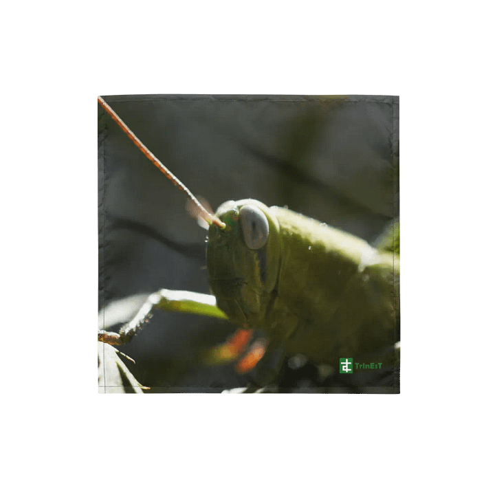 Grasshopper Bandana product image (1)