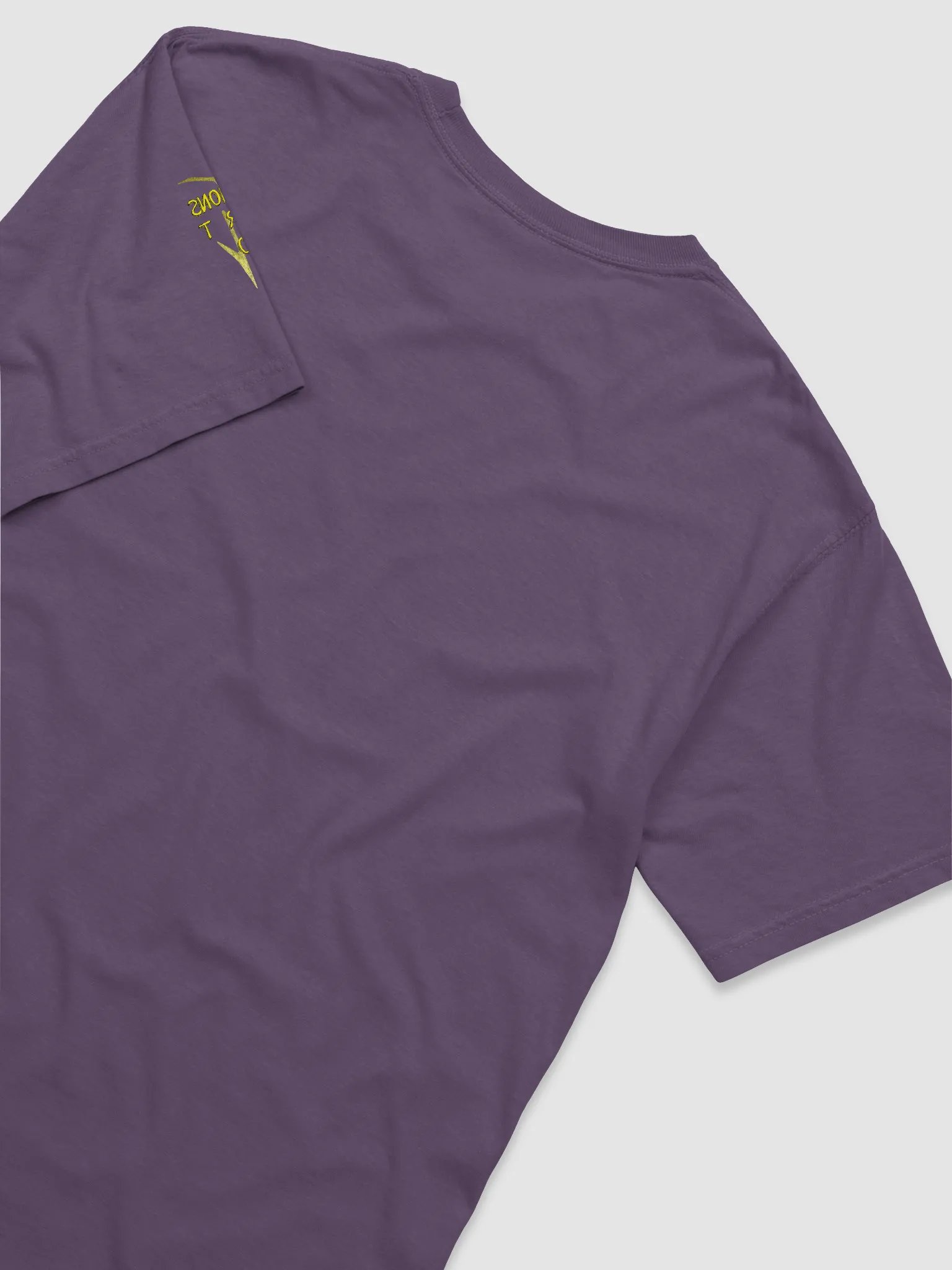 Hauntingly Beautiful. Beautifully Haunting. T-Shirt product image (102)