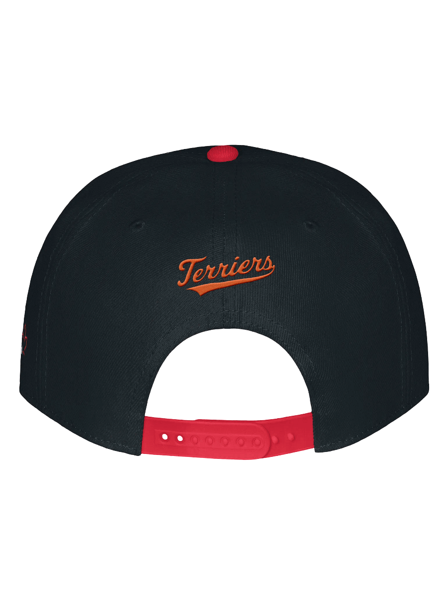 Galt Terriers Legacy Cap product image (21)