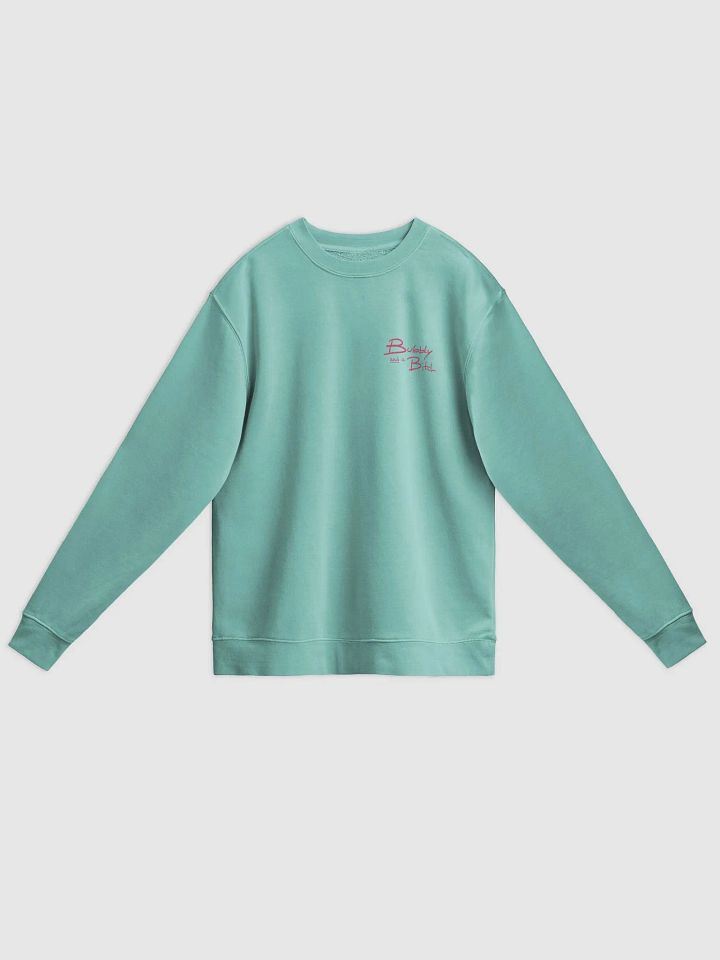 Bubbly and a B*tch (sm. fuchsia design) printed pigment crewneck product image (15)