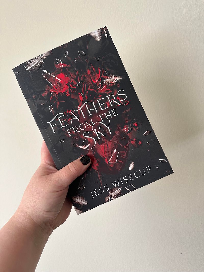 Feathers From The Sky
