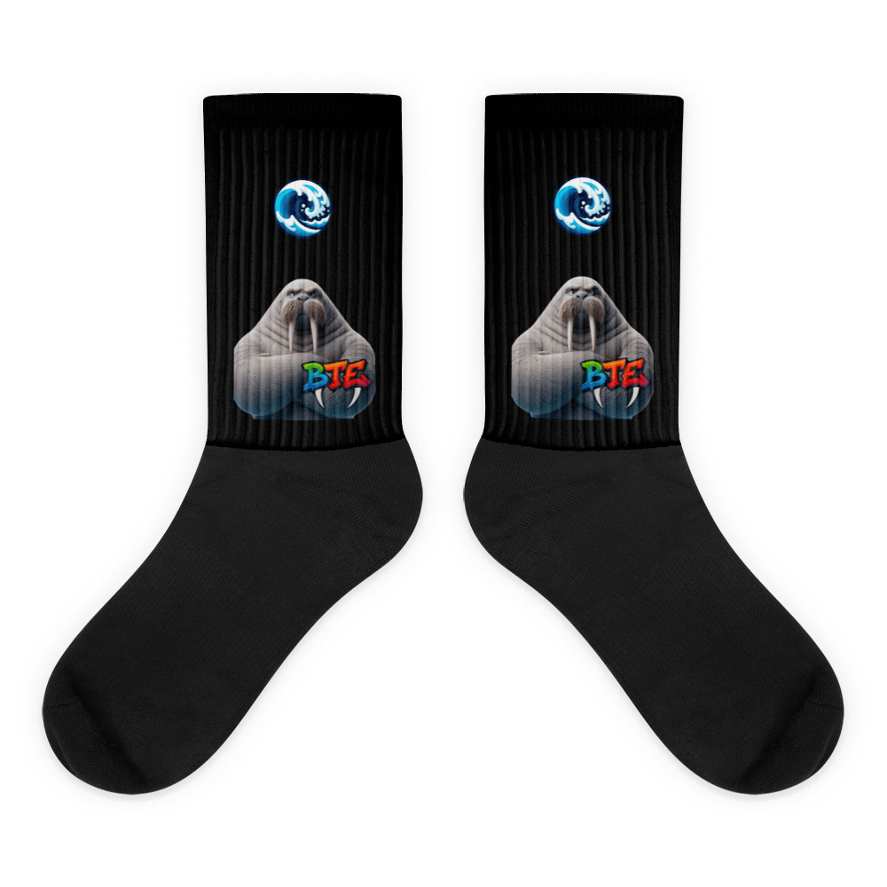 Wave Rider BTE Socks product image (1)