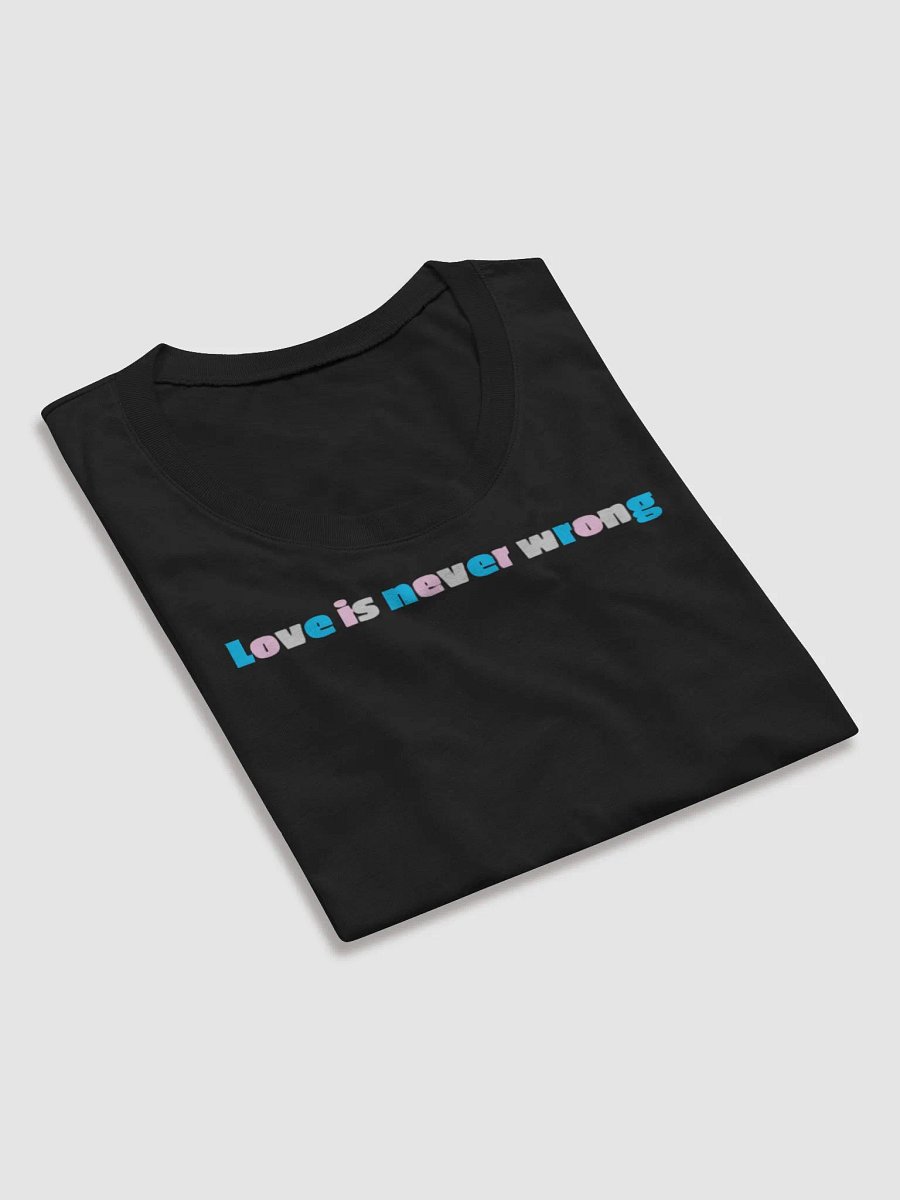 Love Is Never Wrong - Transgender product image (14)
