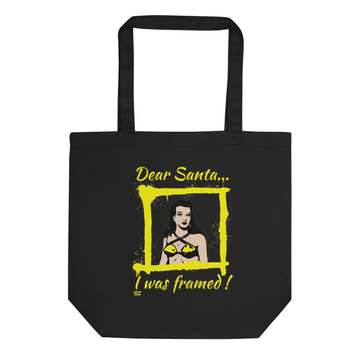 DEAR SANTA, I WAS FRAMED! product image (1)