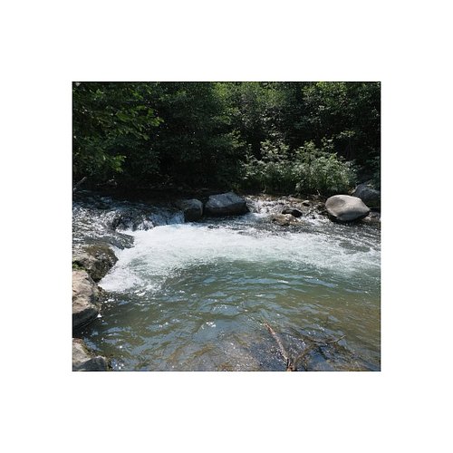 Favorite things.
(.)
Creek walking. Plant gathering. Taking pictures of flora, fauna, and bugs. Reveries of new worlds.