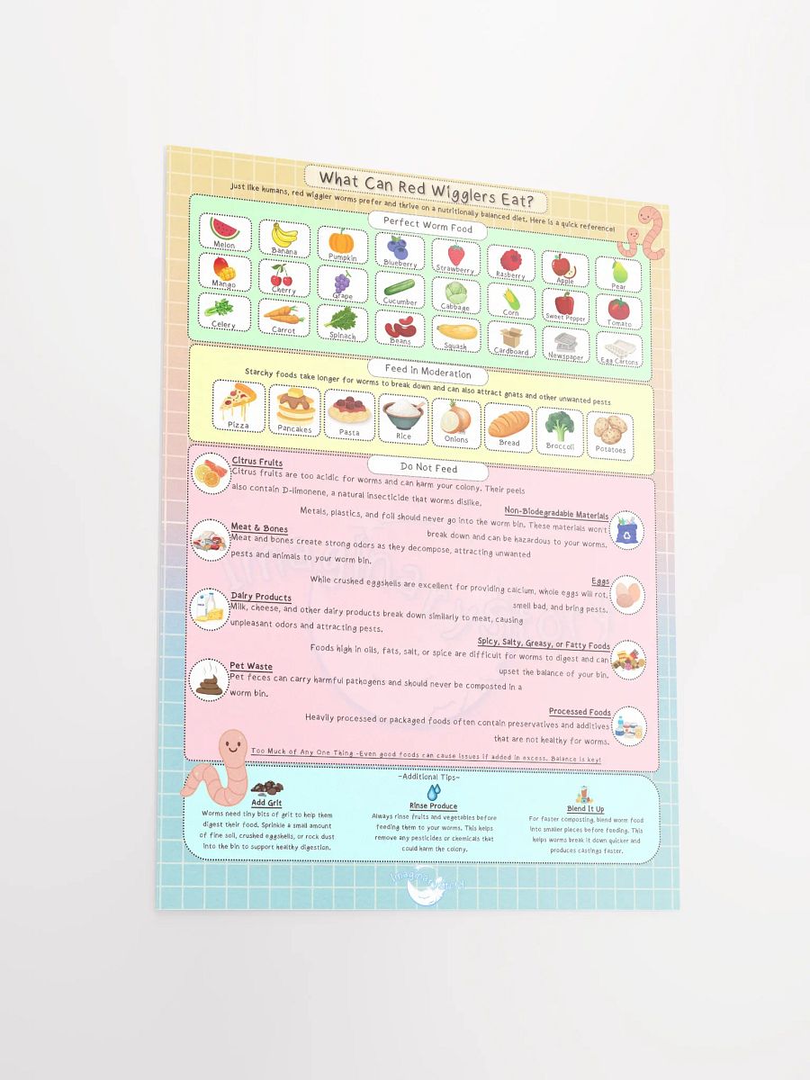 Red Wrigglers Guide Food Chart Poster product image (3)