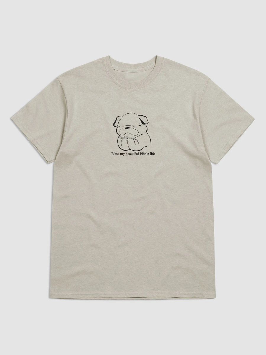 BLESS MY BEAUTIFUL PIBBLE LIFE TEE product image (1)