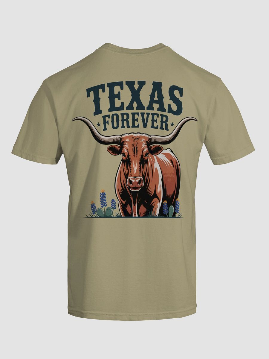 Texas Forever Distressed T-Shirt product image (78)
