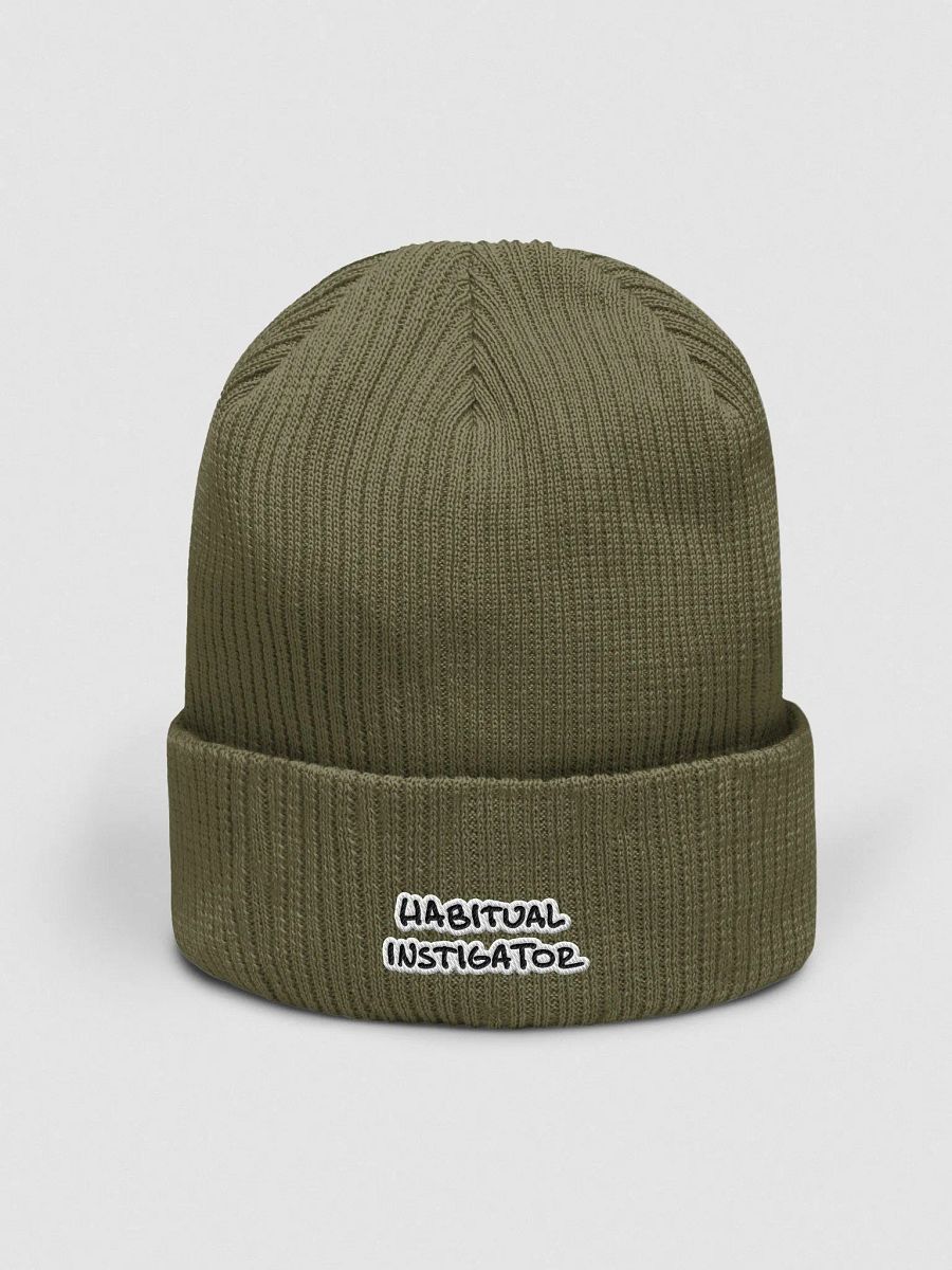Habitual Instigator organic ribbed beanie (bubble design) product image (1)