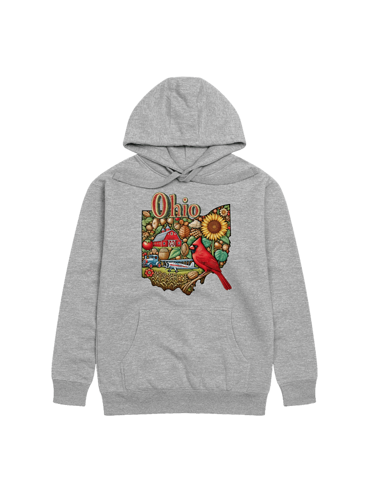 Ohio State Pride Unisex Hoodie product image (1)