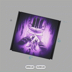 Translation: Bacon Album Box product image (2)